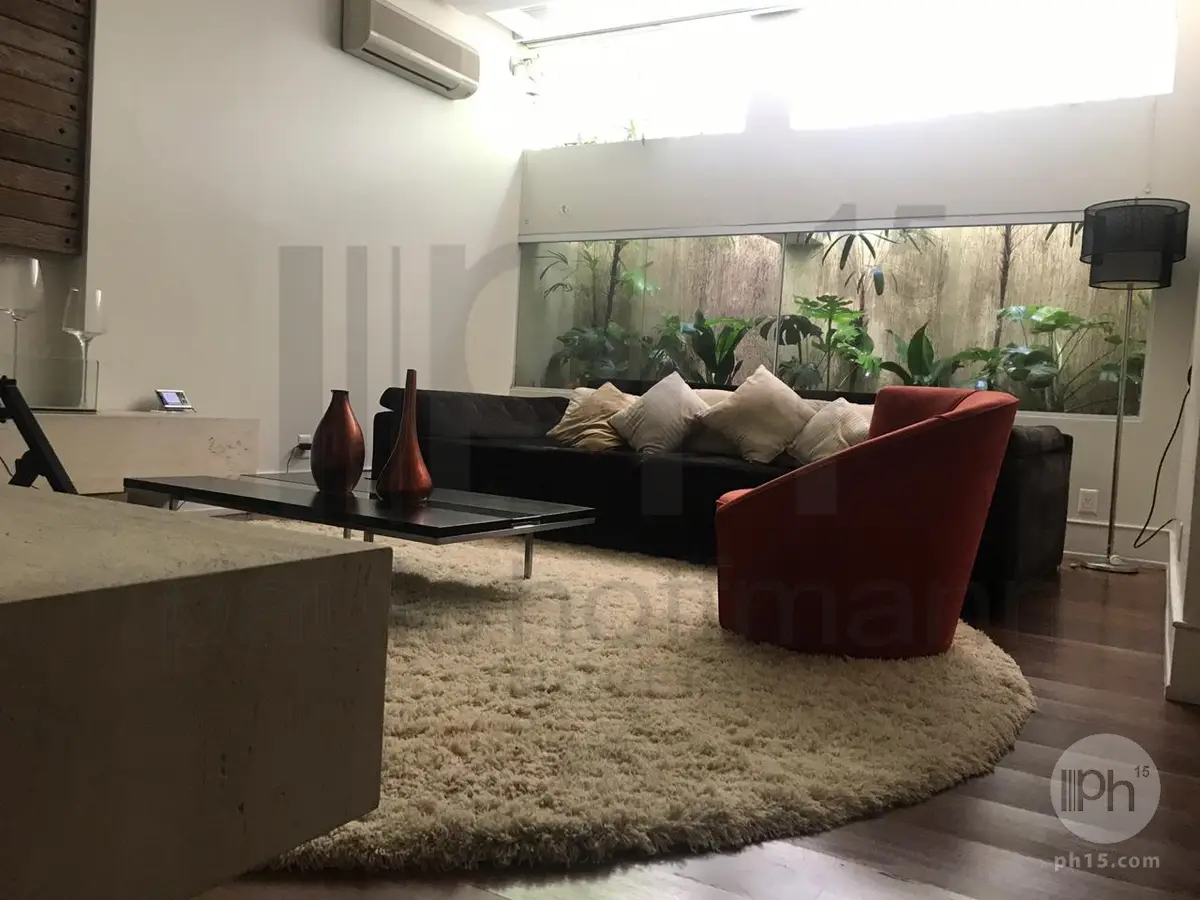 Adega [2019]