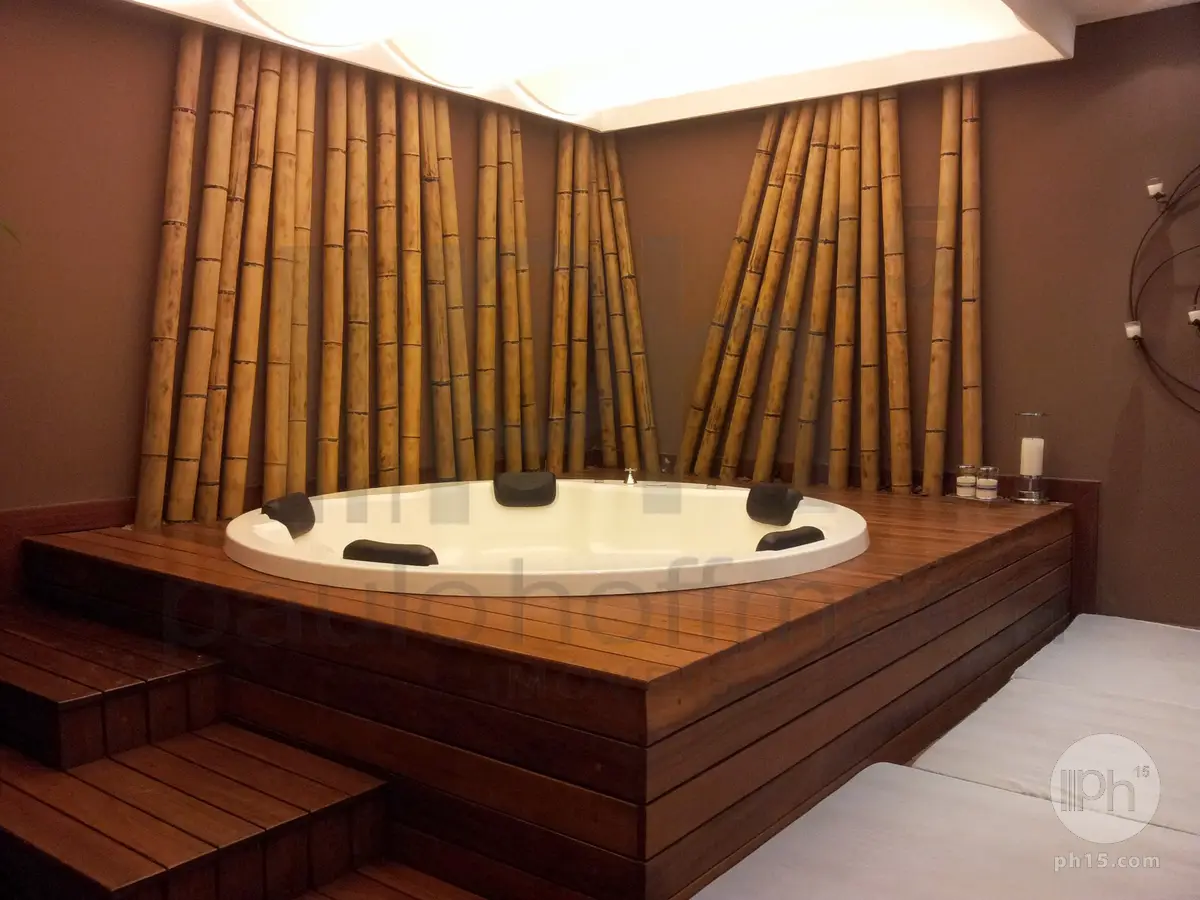 SPA [2015]