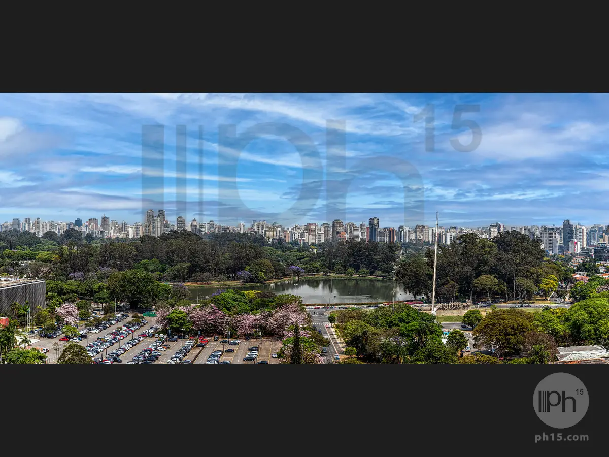 Vista [2024]