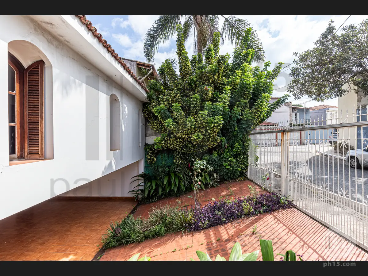 Fachada - Fachada Vista Lateral Direita [2024]